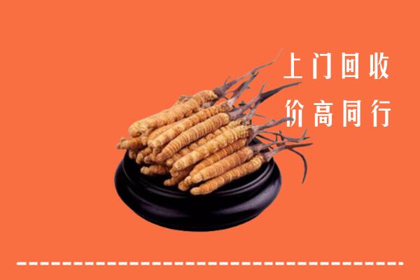高价求购：伽师县回收散虫草