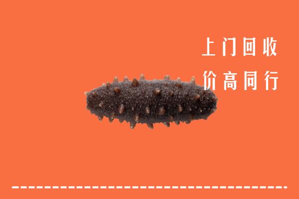 高价求购：伽师县回收海参