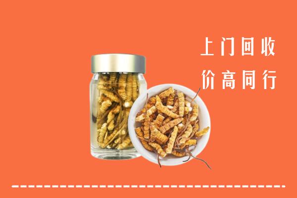 收购行情：伽师县回收冬虫夏草