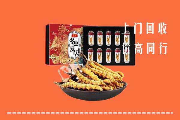 收购行情：伽师县回收虫草